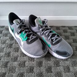 Nike Elevate 2 Cool Grey Metalic Silver Size 12