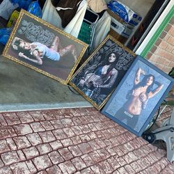 Framed Posters