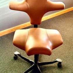 Hag Capisco - Ergonomic Desk Chair