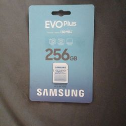 Samsung 256 Gb SD Card