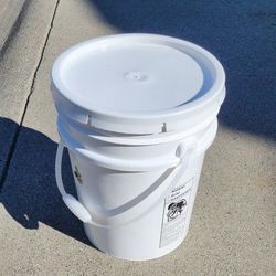 5-Gallon Food-Grade Buckets with Airtight Rubber Gasket Lids – Perfect for Preppers!

