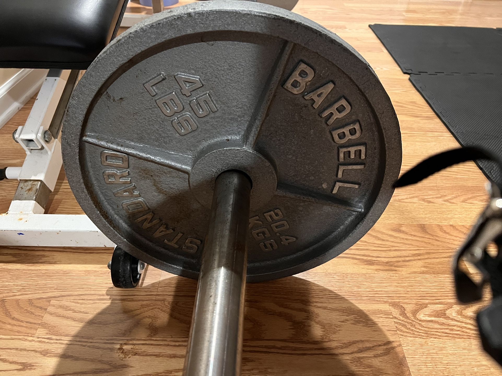 2 - 45 Lbs Weight Plates