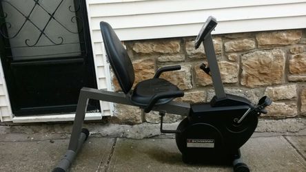 Schwinn 210p online