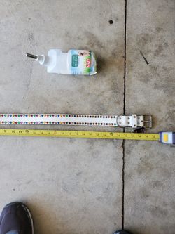 Dog Collar 30 In.  And Waterbottle