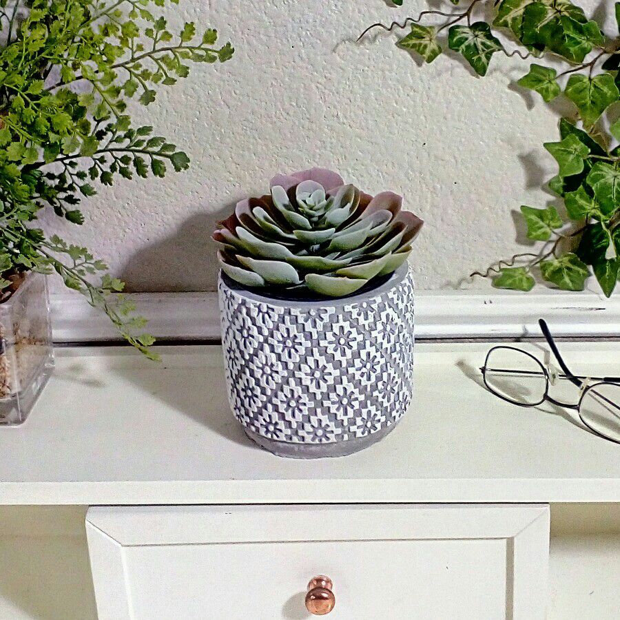 NEW! Artificial Succulent in Geometric Design Vase 6" x 5",  CASH ONLY, PICKUP ONLY - home decor  fake plants faux plants flowers boho cactus cacti 