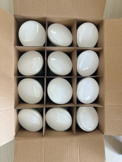 New Philip LED light bulb warm white