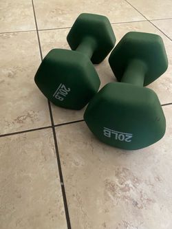 20lbs dumbbells