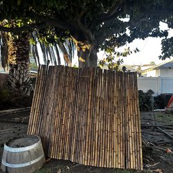 Bamboo fencing