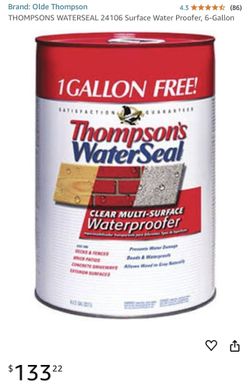 THOMPSONS WATERSEAL 24106 Surface Water Proofer, 6-Gallon