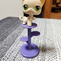 Littlest Pet Shop 98 Shorthair Cat