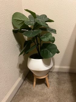 Artificial Plant in White Planter with Wood Stand