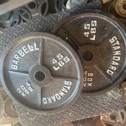 45 Pounds Olympic Weights