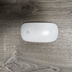 Magic Mouse - White $40