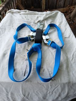 Double Lanyard 