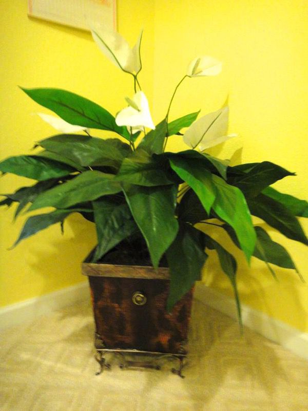 Blossom Fake Lily Plant in High-end Pot