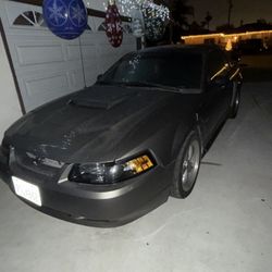 2002 Ford Mustang