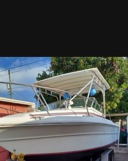 Sea Ray 24 Ft