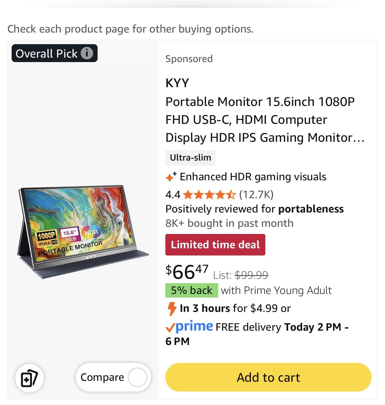 Portable Monitor