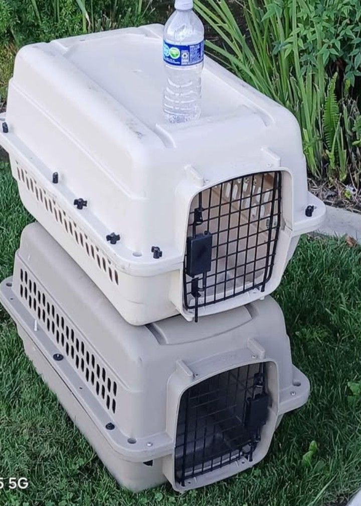 Dog Cat Pet Kennel Airline Approved Like New