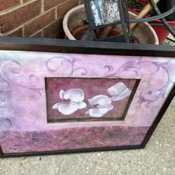 A Beautiful Flower Picture Jus For Spring, Beautiful Colors (NO SHIPPING)