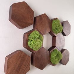 Wooden Wall Decor Hexagons With Moss 10 Pieces