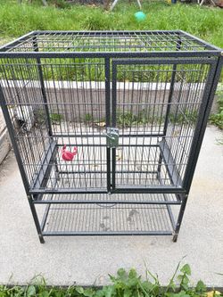 Bird cage