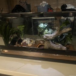 Reptile Cage