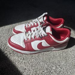Nike Dunks Low USC
