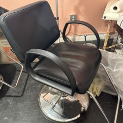 Salon Chair