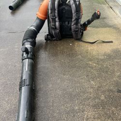 Echo Leaf Blower