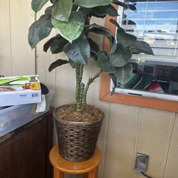 Artificial plant and stand