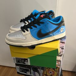 Nike SB Dunk Instant Skateboarding (Size 10.5)