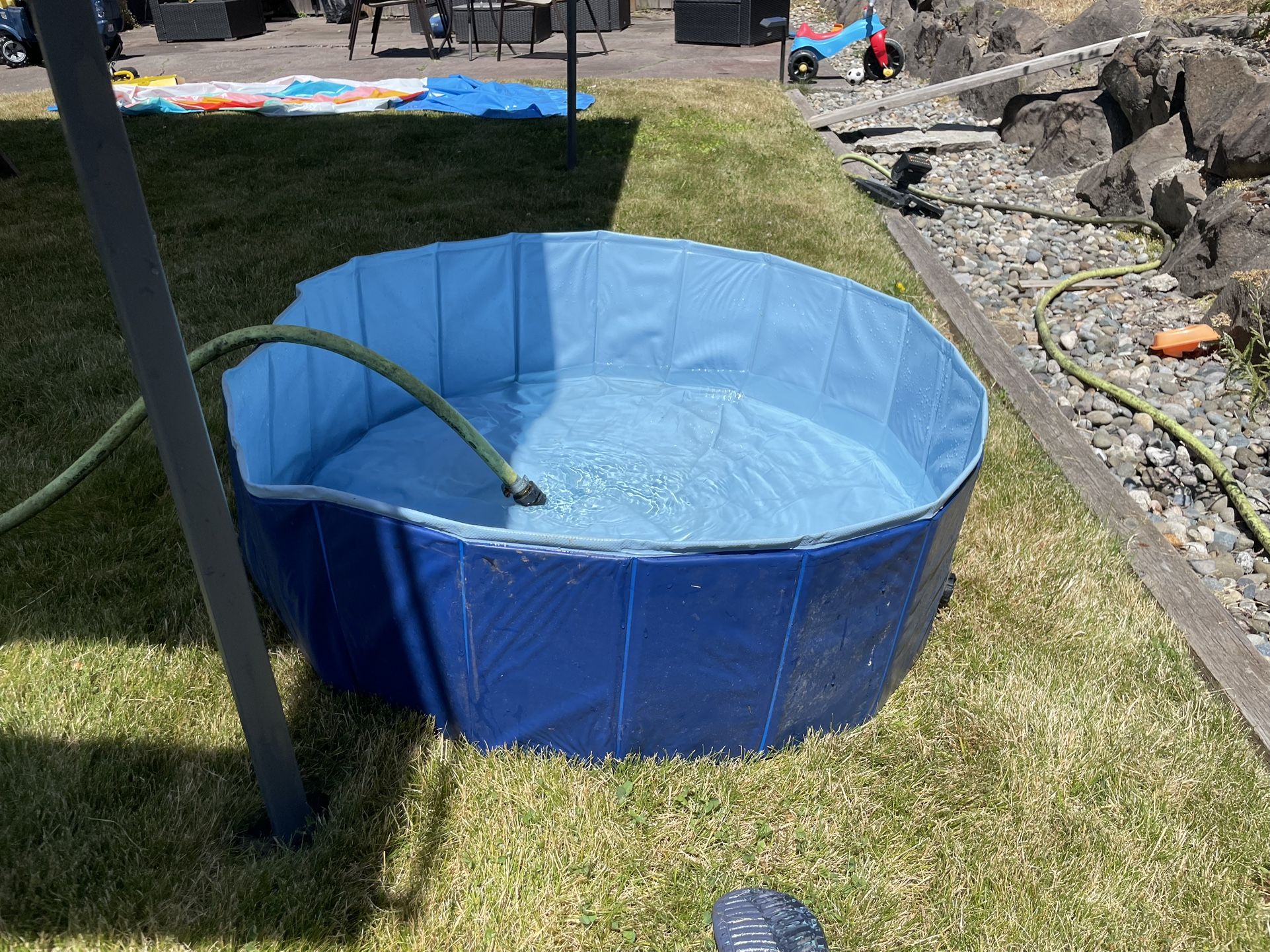 Kiddie / Doggie pool