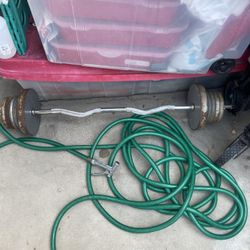 Curl Bar 