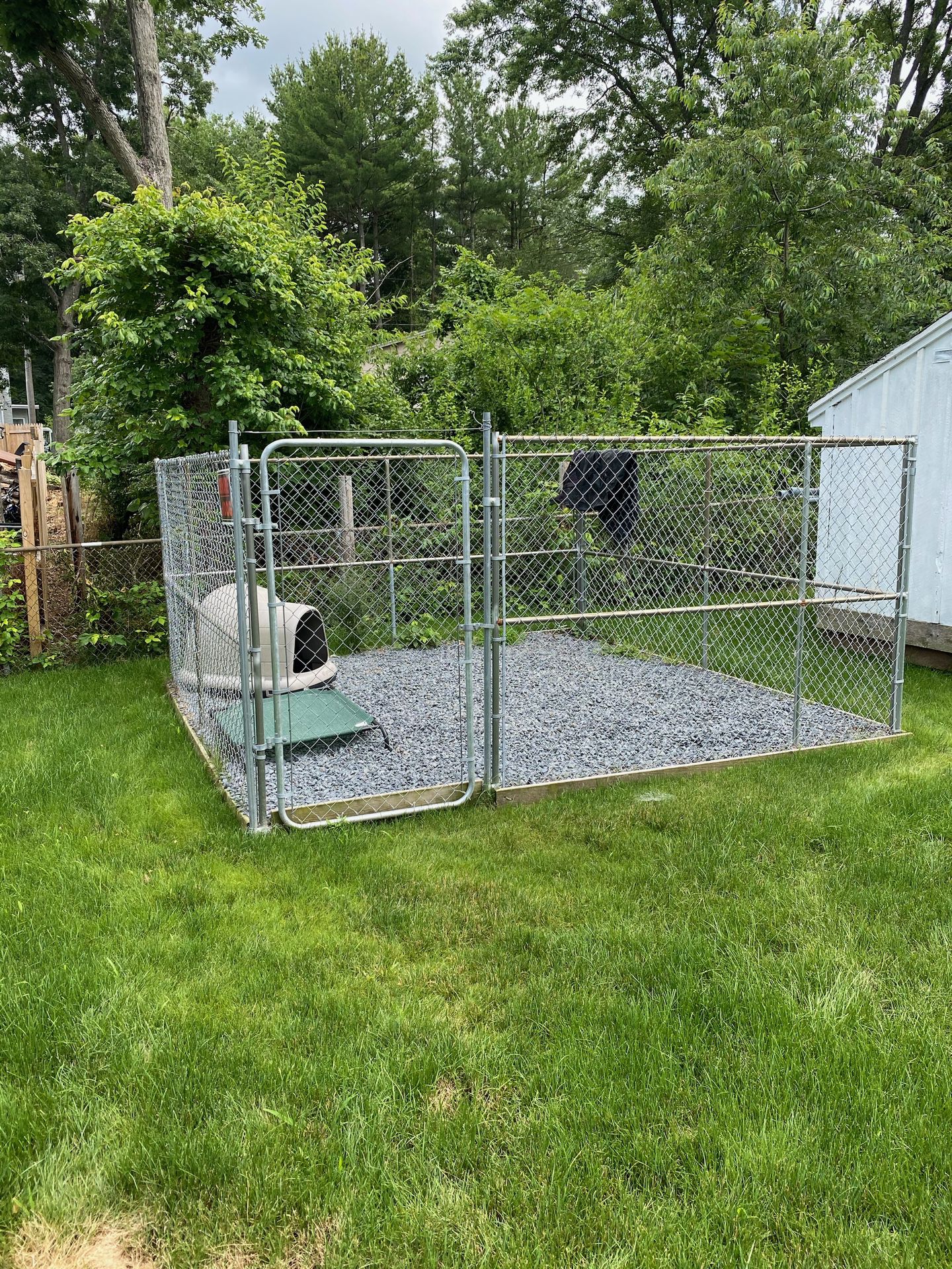 Dog kennel 12x12