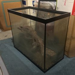 Aquarium/Vivarium Tank