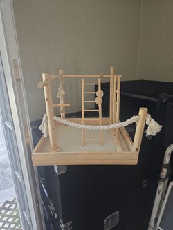 Play Ground For Birds 