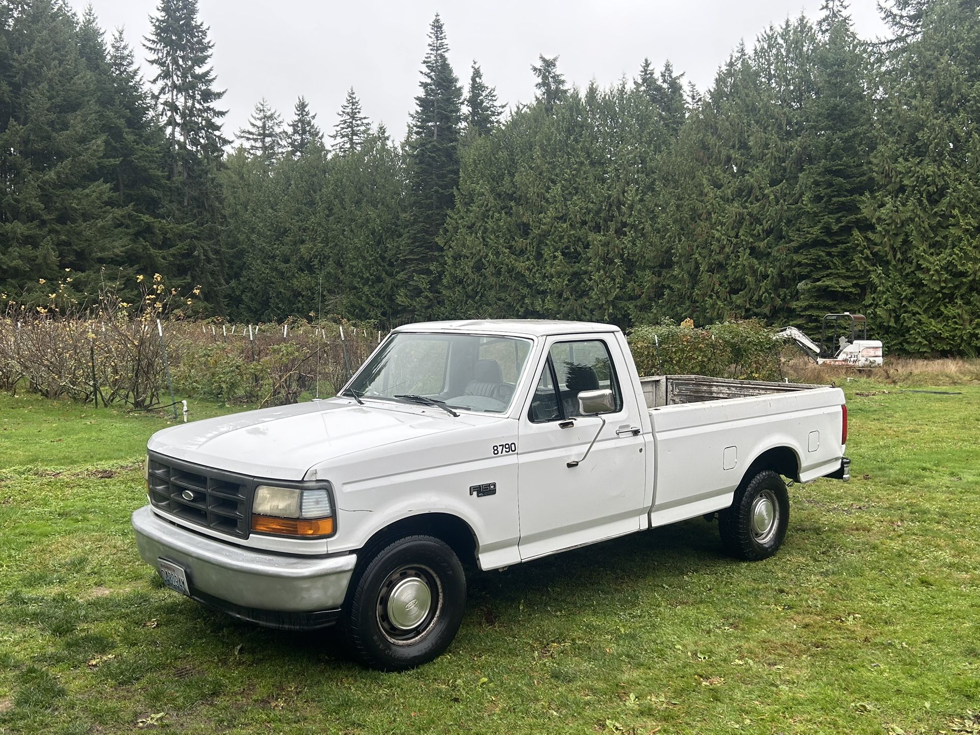 1995 Ford F-150
