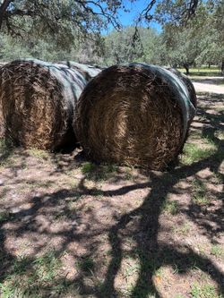 Hay Bales