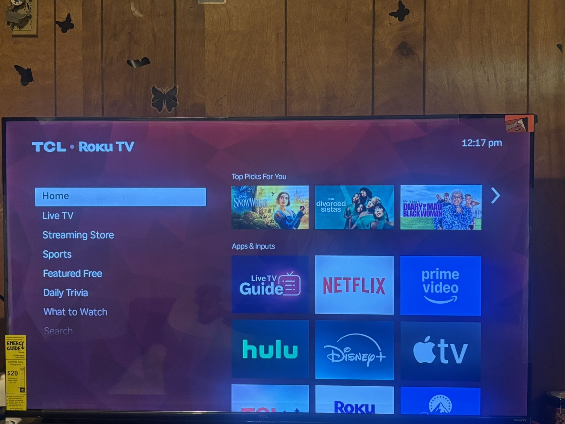 43 Inch Tcl Roku Tv