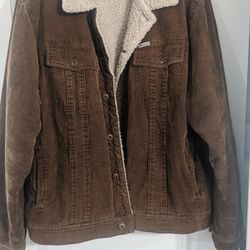 Corduroy Brown Winter Jacket