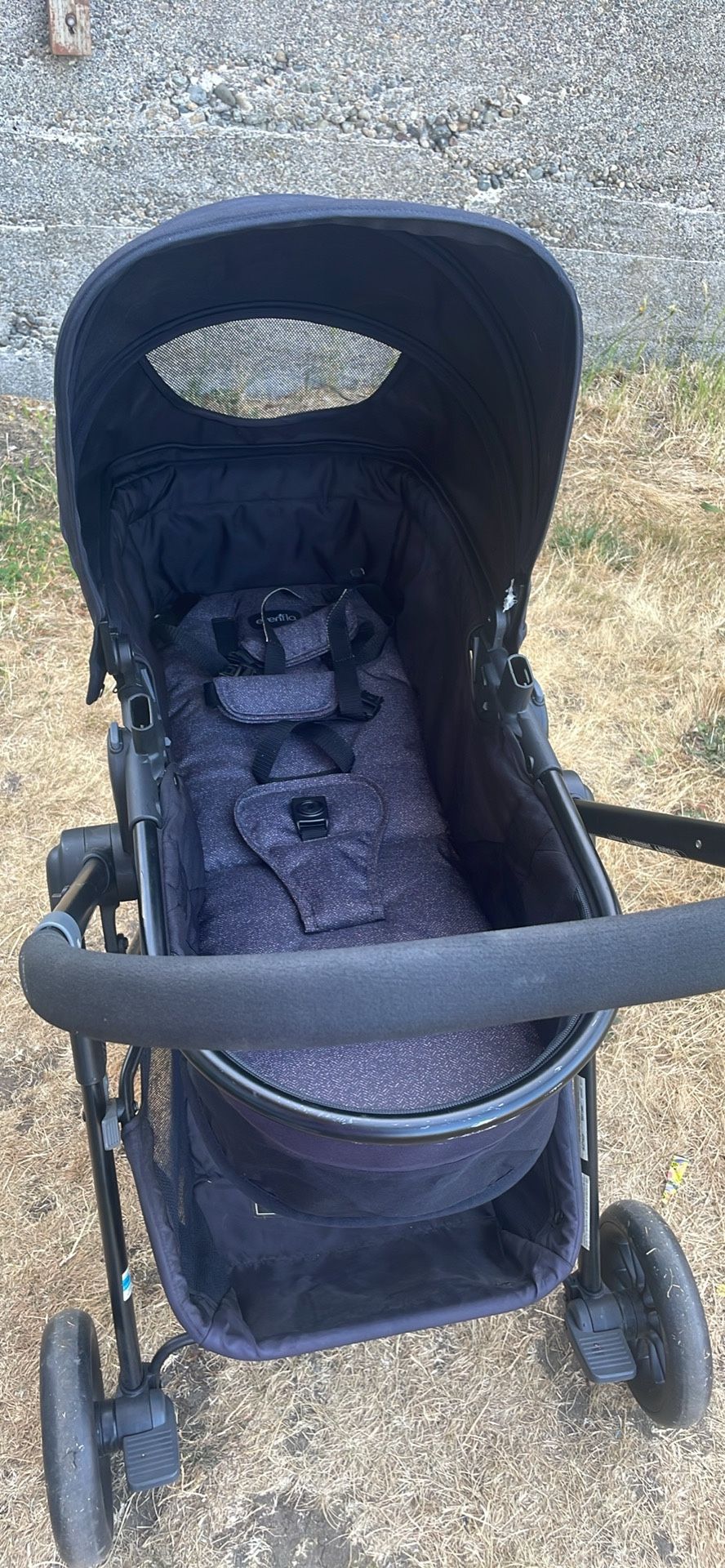 Bassinet Stroller
