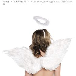 Angel,  Fairy, butterfly, devil Wings, Rainbow Wings P/up Near MLK/Craig