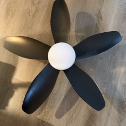 Ceiling Fan LED Light Fixture