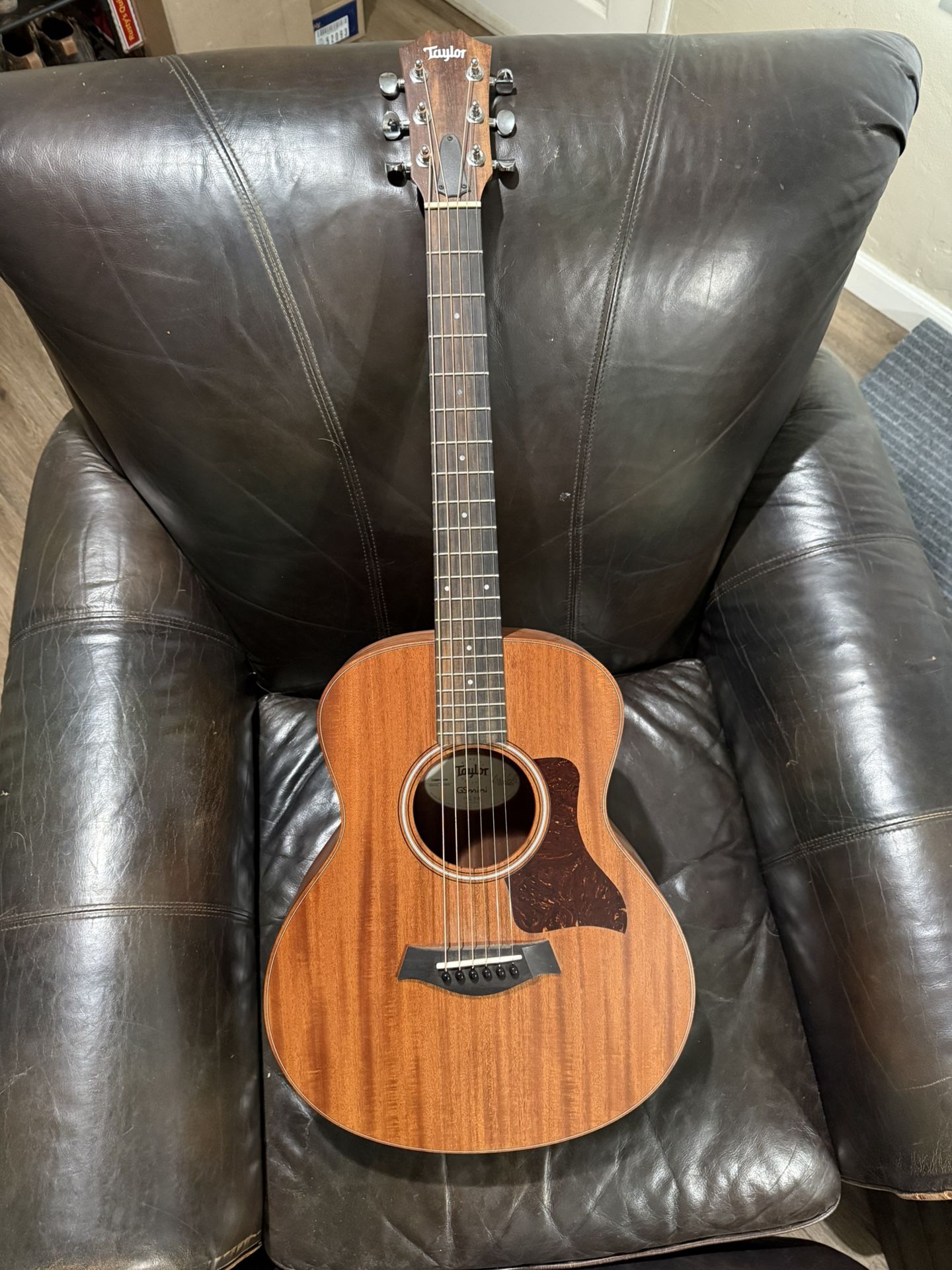 Taylor Gs Mini