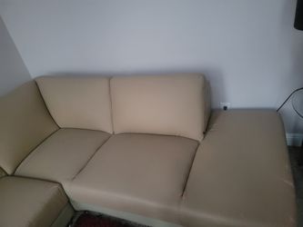 Two Piece L Couch Set