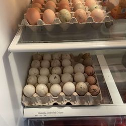 Farm Fresh Duck eggs 