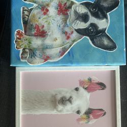 Animal Print Pictures