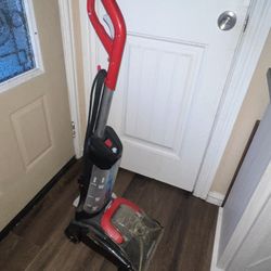 Carpet Cleaner