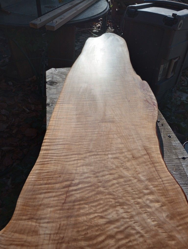 Curly Maple Slab